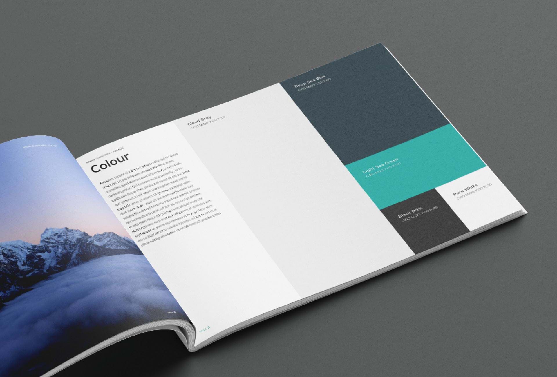 Renew Creative TTD Brand guidelines