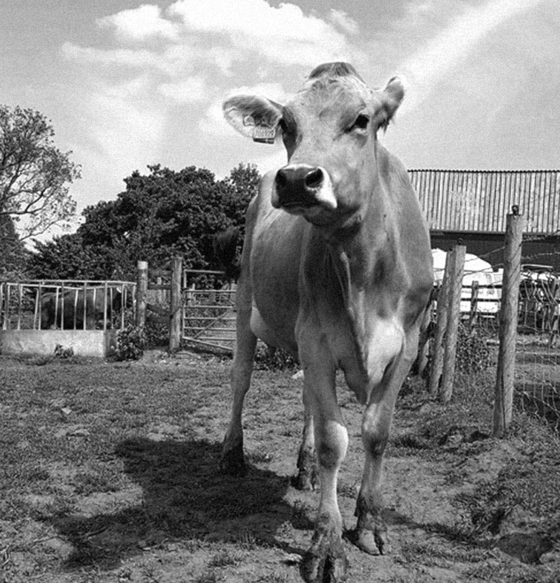 Renew Creative Branding & E-commercecase study