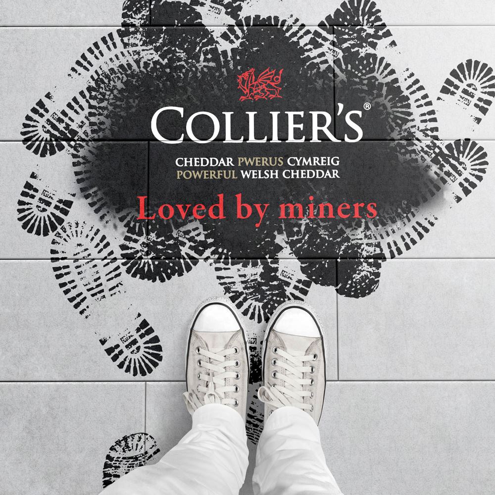 Renew Creative Collier's Cheese