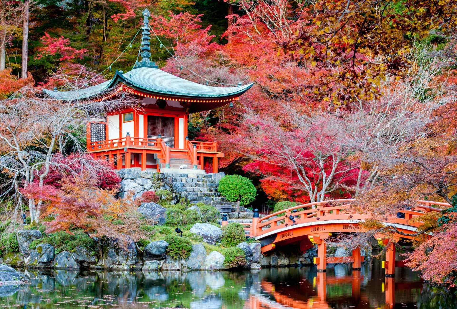 Renew Creative TTD Photography 