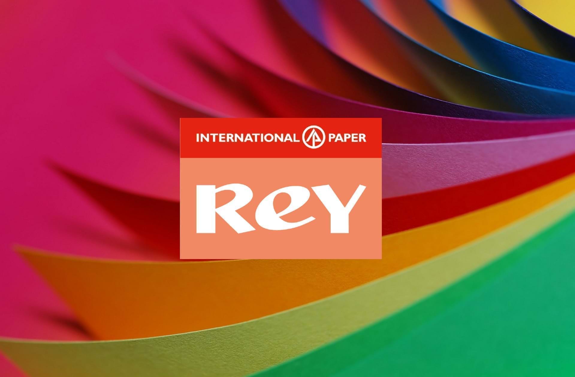 Renew Creative REY Education Campaigncase study