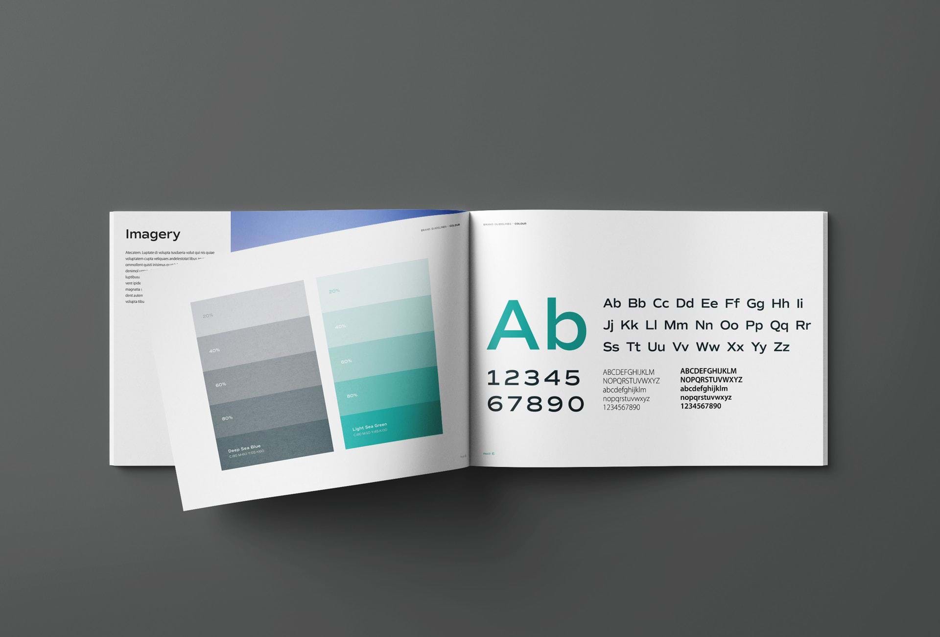 Renew Creative TTD Brand guidelines